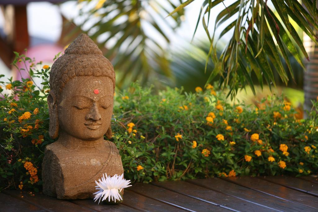 La Villa Zen Saint-Paul Rum bild